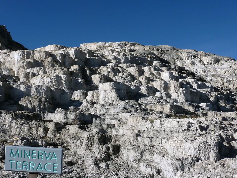 Yellowstone Mammoth Hotsprings Minerva terrace (1).JPG